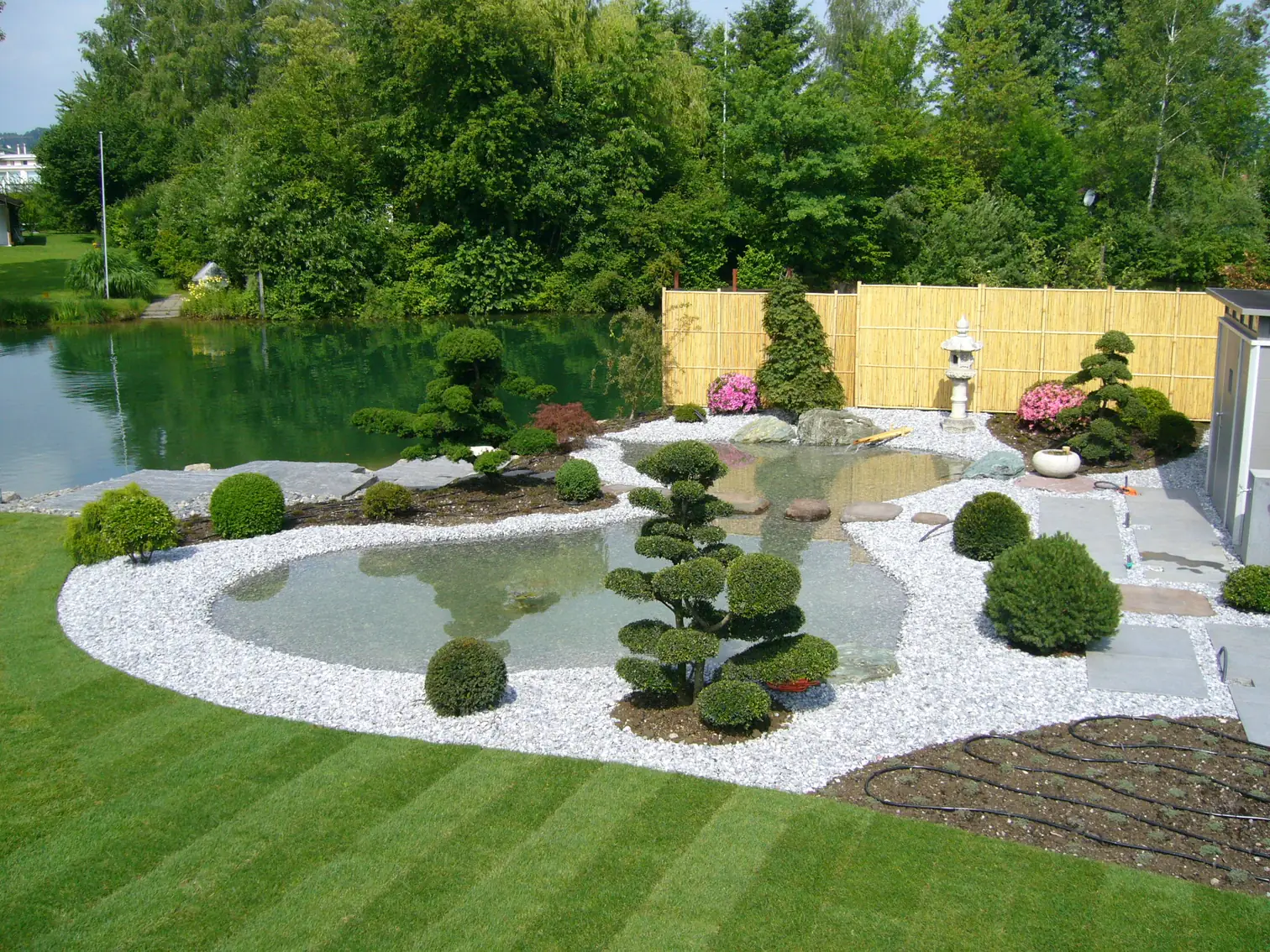 Schwimmteich mit Rasenfläche und Formgehölzen