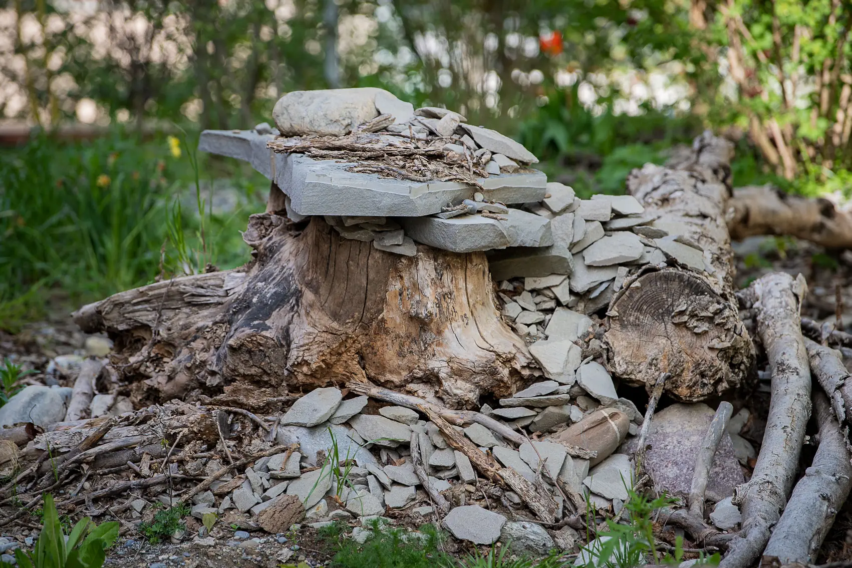 Aufgeschichtete Steine und Totholz als Unterschlupf für Kleintiere